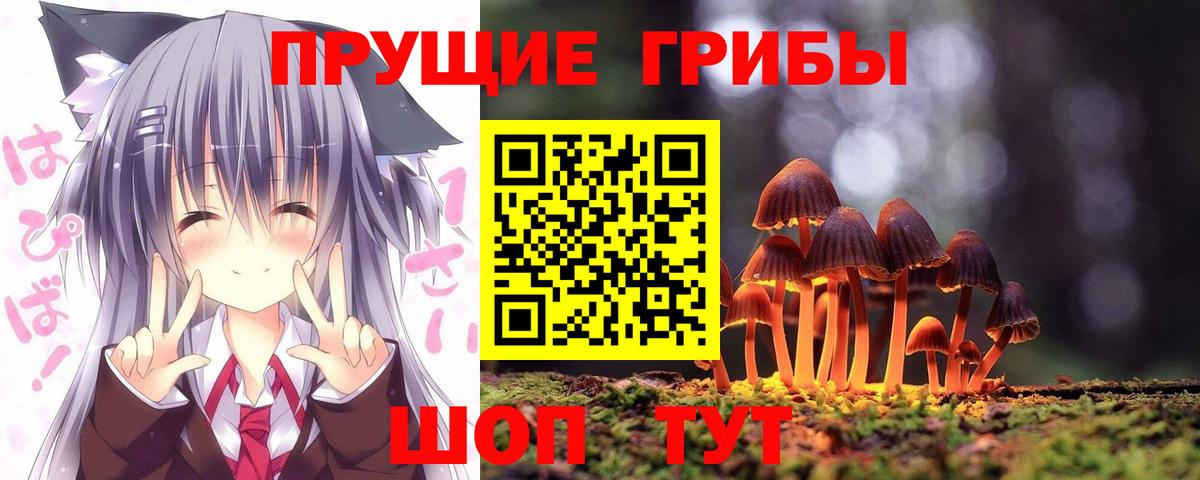 Галлюциногенные грибы Psilocybine cubensis Ртищево