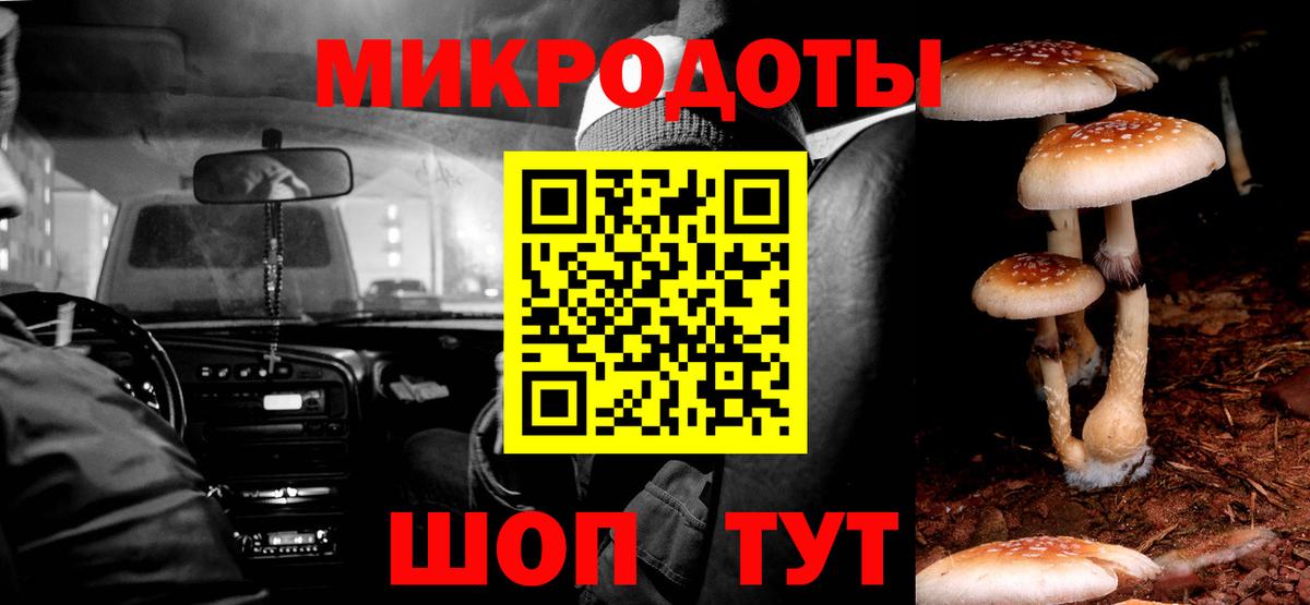 Ртищево  Псилоцибиновые грибы GOLDEN TEACHER  Вход с VPN 